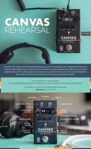 Walrus Audio
