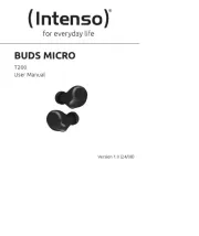 Intenso