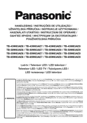 Panasonic