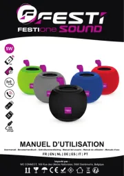Festi Sound