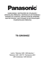 Panasonic