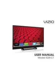 Vizio