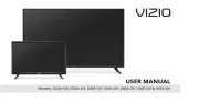 Vizio