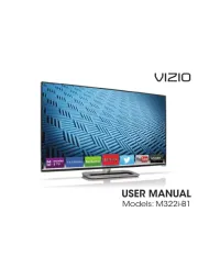 Vizio