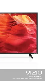 Vizio