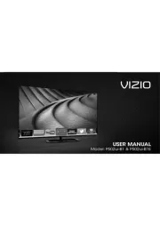 Vizio