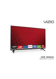 Vizio