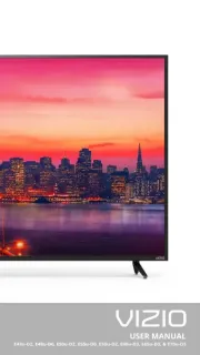 Vizio