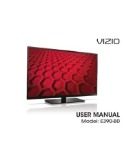 Vizio