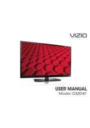 Vizio
