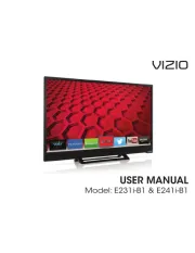 Vizio