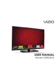 Vizio