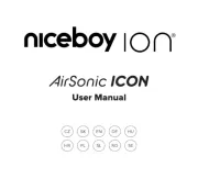 Niceboy