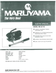 Maruyama