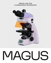 MAGUS