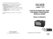 Silver Style