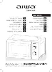 Aiwa