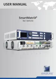 Analog Way