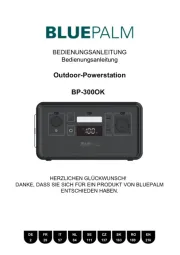 BLUEPALM