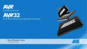 Microchip