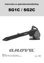 Anova