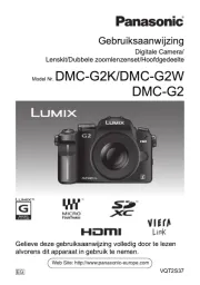 Panasonic