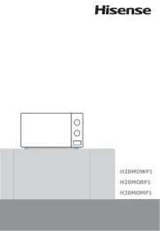 Hisense