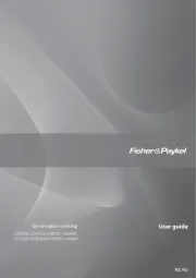 Fisher Paykel