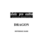 Slate Pro Audio