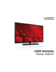 Vizio