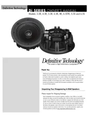 Definitive Technology
