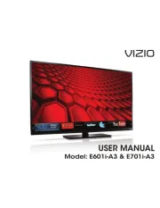 Vizio
