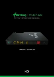 BirdDog