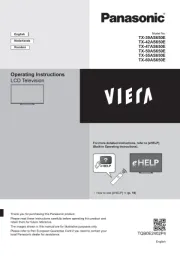 Panasonic