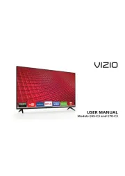 Vizio