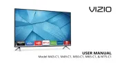 Vizio