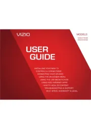 Vizio