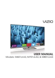 Vizio