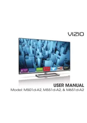 Vizio