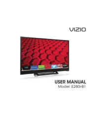 Vizio