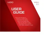 Vizio