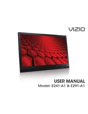 Vizio
