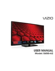 Vizio