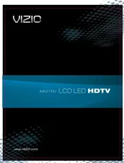 Vizio