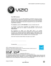 Vizio