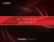 Vizio