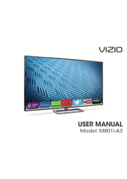 Vizio