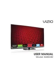 Vizio