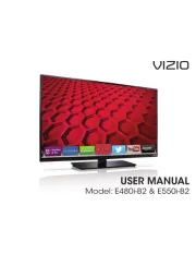 Vizio