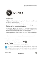 Vizio